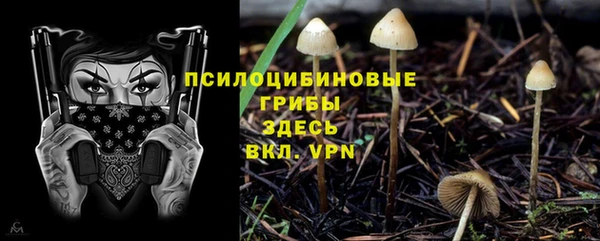 ПСИЛОЦИБИНОВЫЕ ГРИБЫ Балабаново