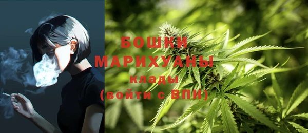 ПСИЛОЦИБИНОВЫЕ ГРИБЫ Балабаново